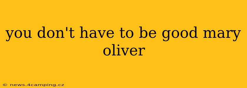 you don't have to be good mary oliver