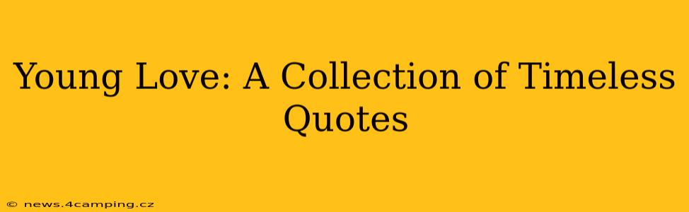 Young Love: A Collection of Timeless Quotes