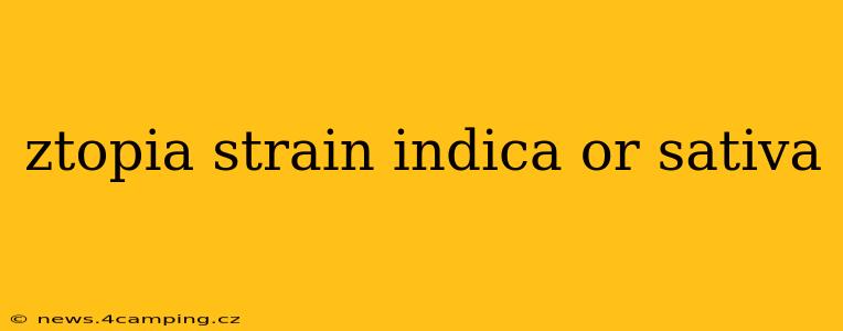 ztopia strain indica or sativa